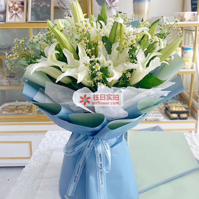 平顶山8支白色多头百合洋甘菊，互倾的思念