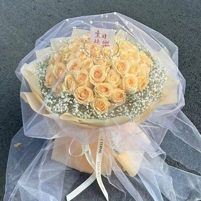 平顶山52朵香槟玫瑰满天星，你就是我的全部