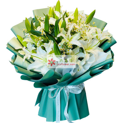 平顶山8支白色多头百合洋甘菊，如潮的思念